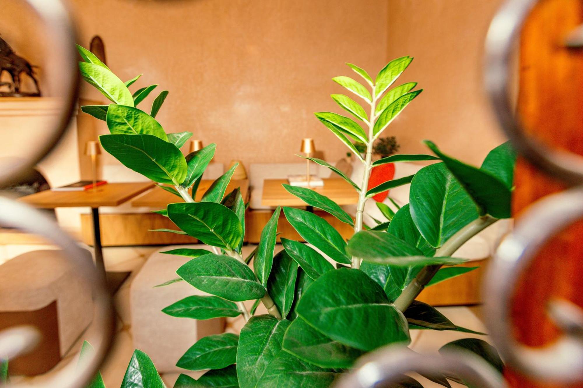Riad Luciano Hotel&Spa Marrakesh Esterno foto